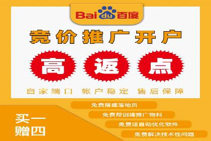 某企业通过百度SEM实现ROI最大化的案例